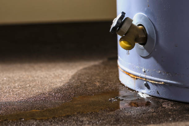 Best Sewage cleanup and water damage restoration  in Collinsvle, IL
