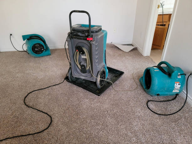 Best Water damage restoration services  in Collinsvle, IL