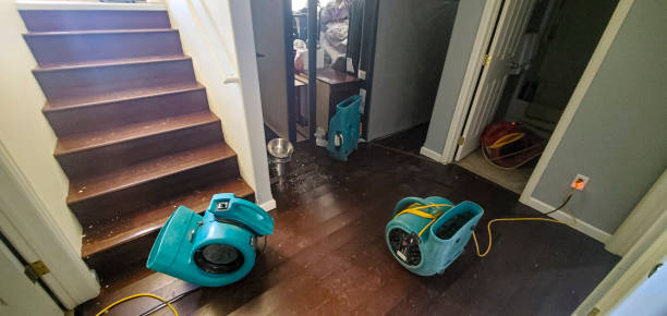 Water damage restoration insurance claims in Collinsville, IL