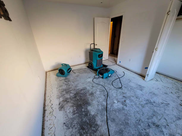 Best Flood restoration services  in Collinsvle, IL